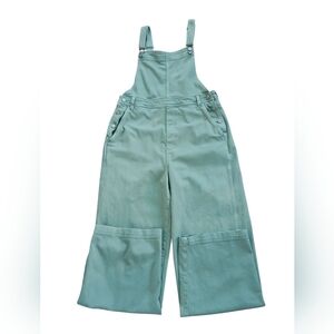 aerie Sage Green Wide-Leg Overalls Jumpsuit